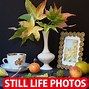 Image result for Still Life Nature Photography
