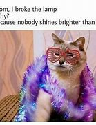 Image result for Dankest Cat Memes