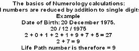 Image result for How Do I Find My Numerology Number