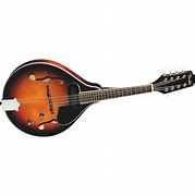 Image result for Acoustic Mandolin