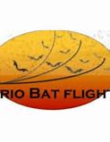 Image result for Frio Bat Flight