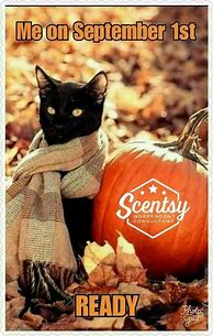 Image result for Cat Memes Fall