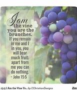 Image result for Biblical Vine and Branches