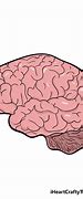 Image result for Human Brain Drawing for Kids
