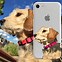 Image result for What Tye of Case Will Look Nice On a Red iPhone