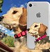 Image result for Pretty Phone Cases iPhone 11