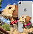 Image result for Cool Phone Cases iPhone