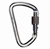 Image result for Stainless Steel Carabiner