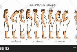 Image result for Types of Pregnancy
