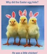 Image result for Easter Chick Meme