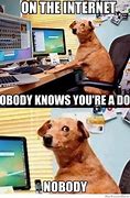 Image result for Nobody Knows Meme Expedia Meme