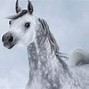 Image result for Arabian Horse Galloping