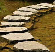 Image result for Make Concrete Stepping Stones