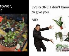 Image result for House Plant Memes