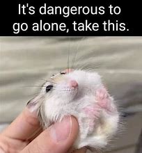 Image result for Holding Hamster Meme