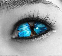 Image result for Butterfly Eye Art