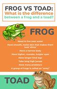 Image result for Frog and Toad Books Redesign