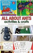 Image result for Ant Activity