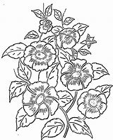 Image result for Drawing Pictures Pencil Outline