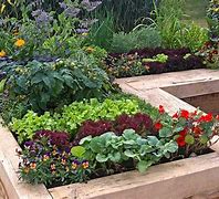 Image result for Raised Bed Vegetable Garden Ideas