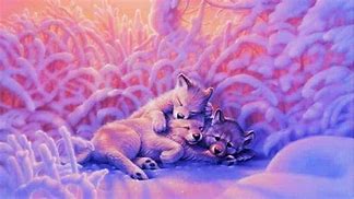 Image result for Rainbow Galaxy Wolf