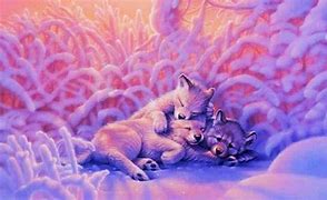 Image result for Baby Wolf Galaxy