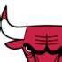 Image result for NBA Chaimpian Rings Bulls