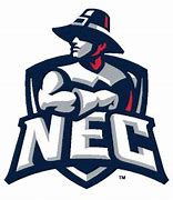 Image result for New England College Athletics Logo