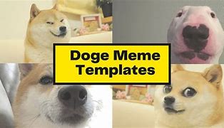 Image result for Flexing Doge Meme