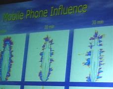 Image result for Solar Power for Cell Phone