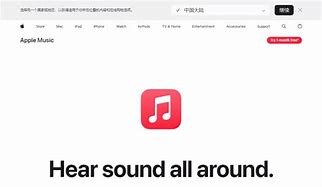 Image result for When I Opened My Mac I See an Apple Music Warning for Identity Theft