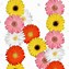 Image result for Letter N PFP Pink Flowers