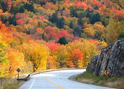 Image result for Maine Fall Scenery