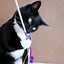 Image result for DIY Cat Wand