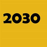 Image result for 2030s Flags