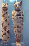 Image result for Stone Age Mummies