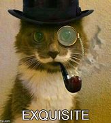 Image result for Aristocat Cat Meme