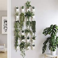 Image result for Wall Plant Hangers Indoor