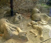 Image result for Pompeii Body