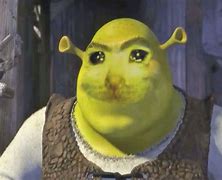 Image result for Shrek Meme Templates