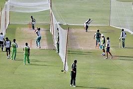 Image result for Raiwala Cricket Academy