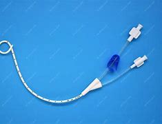 Image result for 10 French Pigtail Catheter