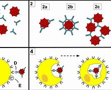 Image result for Two's complement wikipedia