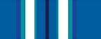 Image result for Navy Combat Ribbons