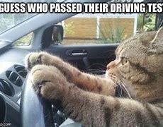 Image result for Passing Driving Test Meme