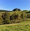 Image result for Cheap Land for Sale NZ