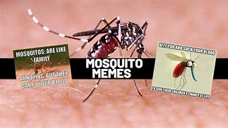 Image result for Alaska Mosquito Meme