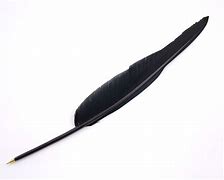 Image result for Goose Feather Pen