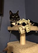 Image result for Low On Cash Funny