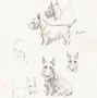 Image result for Scottish Terrier Print